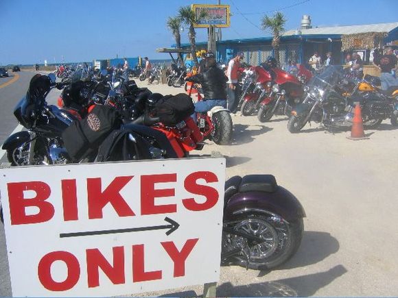 High Tides at Snack Jack