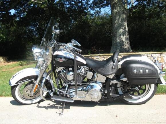 Late summer 2008 with new Springer low backrest pad.