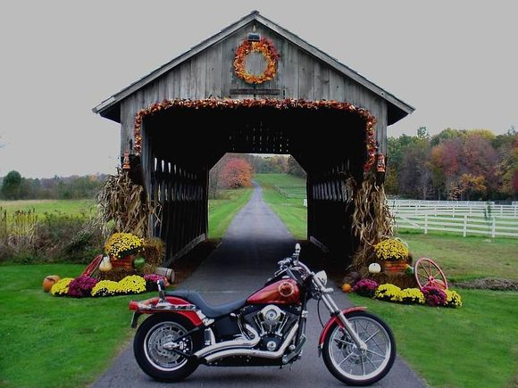 Happy Fall Everybody!