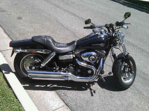My Fat Bob Again Again