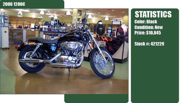 My Harley 1200C In Gator Harley