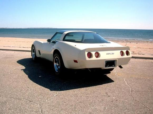 My 1981 Corvette
