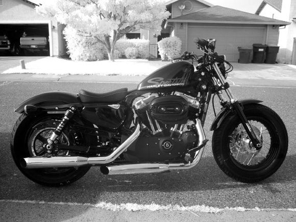 My girlfriend's Harley Forty-Eight (IR photo edition)