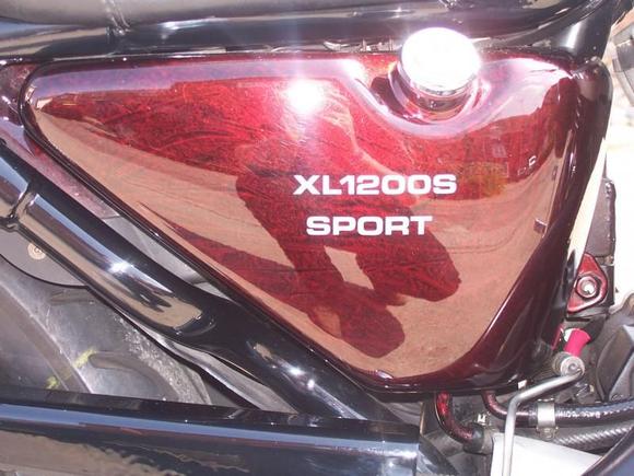 My Bike 2010 008