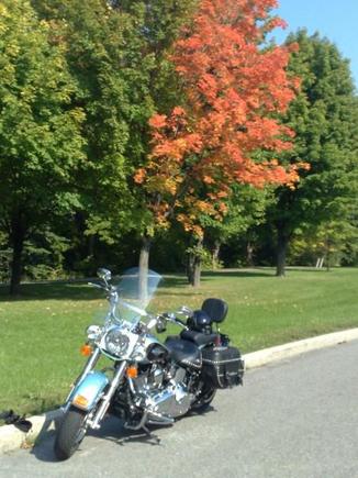 Riding in the fall... nice ride!