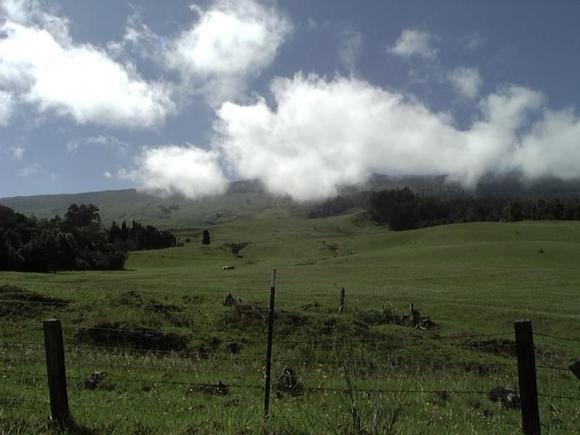 RoadToHaleakala4