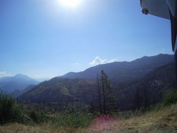 Baby pines starting to sprout amid the burned out area around Hume Lake