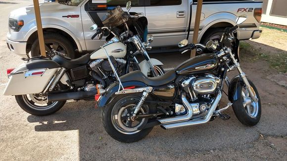 Switchback FLD and Sportster Custom XL1200C