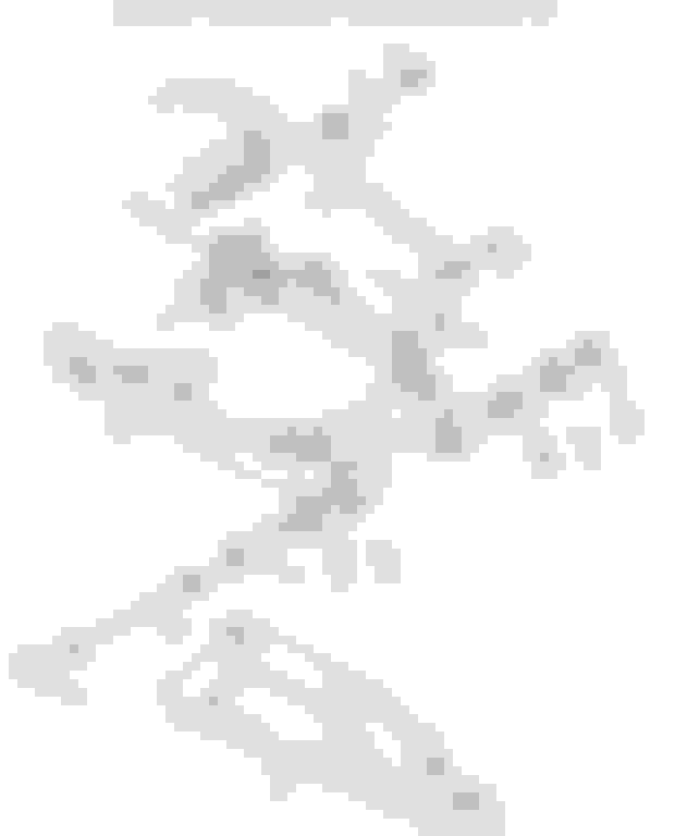 swing arm bearing problems Harley Davidson Forums