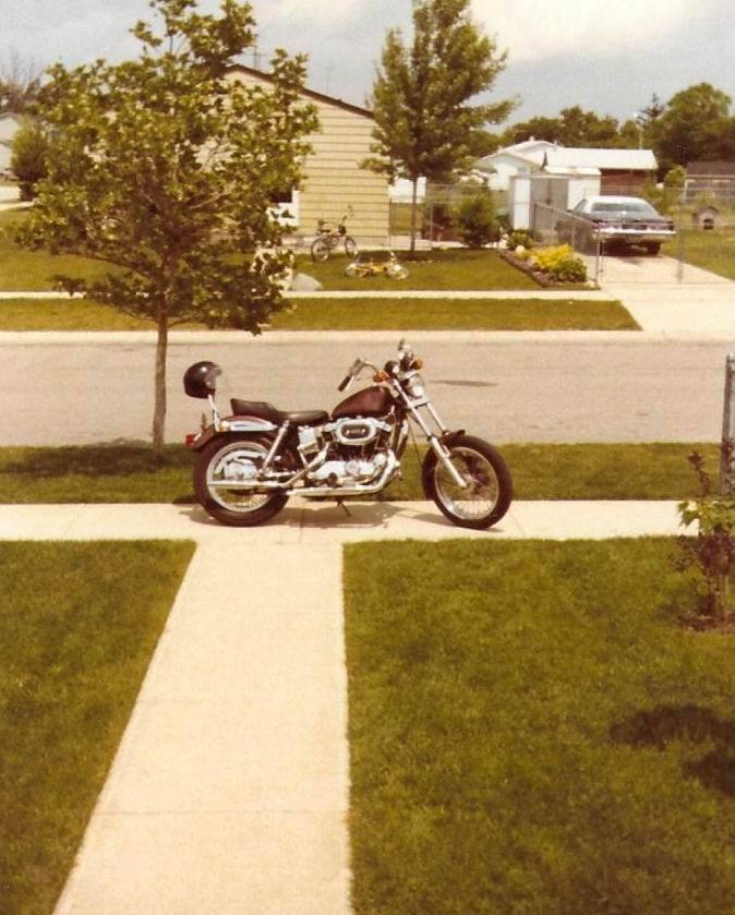 harley davidson candy root beer paint