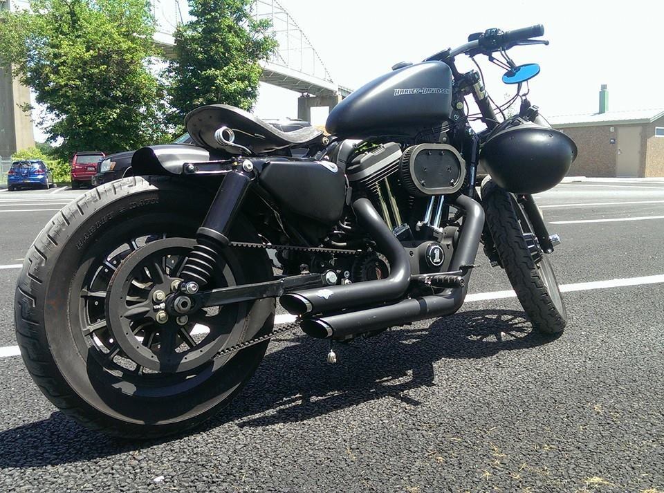 custom sportster fenders