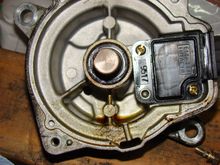 Oil pooling inside distributor. 
