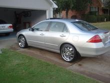 Just washed Sylvia up
