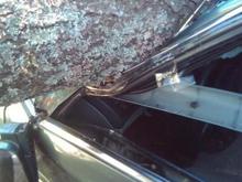 ...The remains of my car...