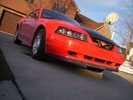 New photo album