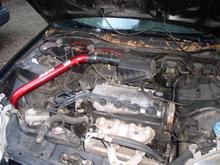 aem cold air intake ghetto rigged onto my d16y7 for now,i have a vtec d15 im going to take the air intake piece to connect my intake right the vtec head is going to be bolted on it and theres a performance crank im going to do as well,working on doing a 2.25 catback my future plans are to turbo and do a few more tweeks here and there.all i got planned for now
