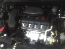 My bone stock Betty
