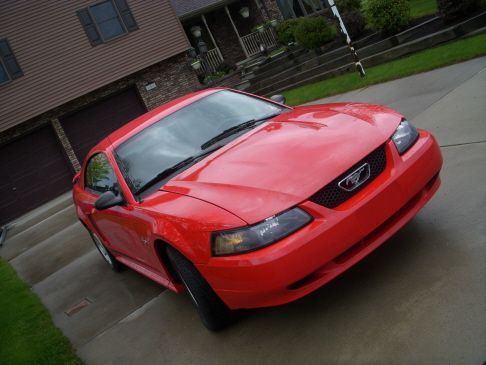 The day I brought her home