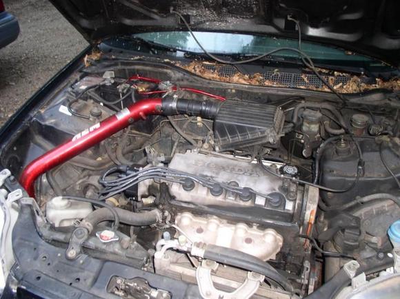 aem cold air intake ghetto rigged onto my d16y7 for now,i have a vtec d15 im going to take the air intake piece to connect my intake right the vtec head is going to be bolted on it and theres a performance crank im going to do as well,working on doing a 2.25 catback my future plans are to turbo and do a few more tweeks here and there.all i got planned for now