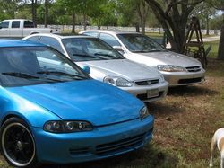 civic trio