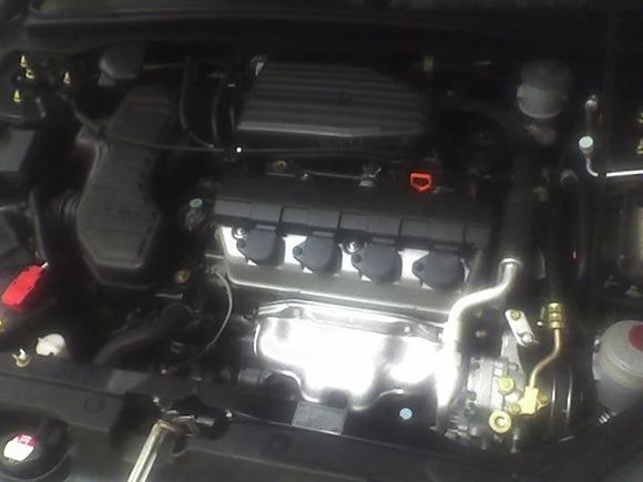civic engine bay
