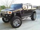 The Beast
