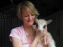 chile one hour old