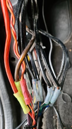 Need to know where to reconnect the black wires