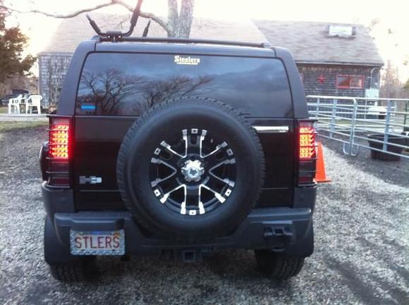 LED TAIL LIGHTS WITH BRUSH GUARDS OVER THEM.  EBAY