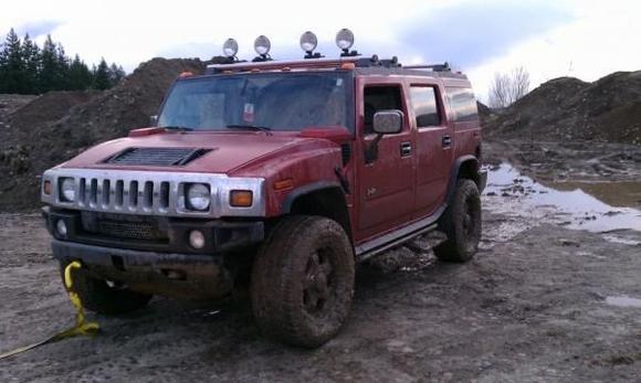 Betty playing in the mud.