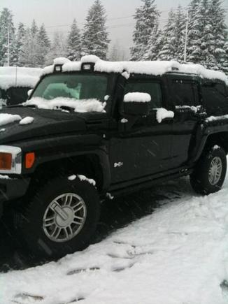 First Day in Juneau/Snow