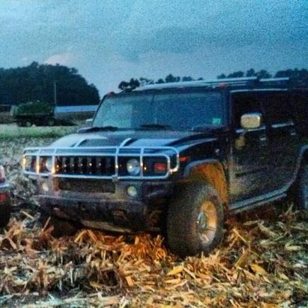 Corn field.