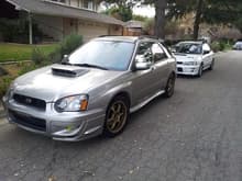 Family of Subies