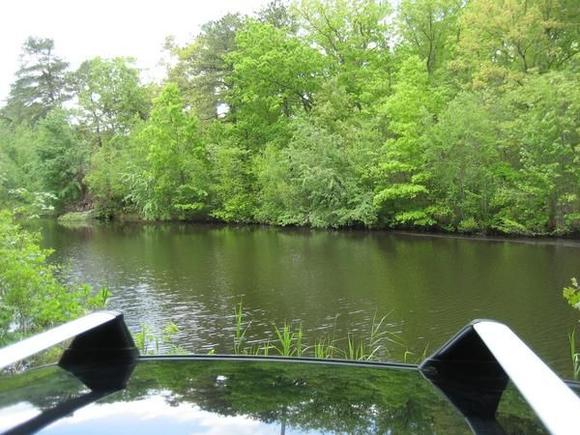 quiet little fishing hole