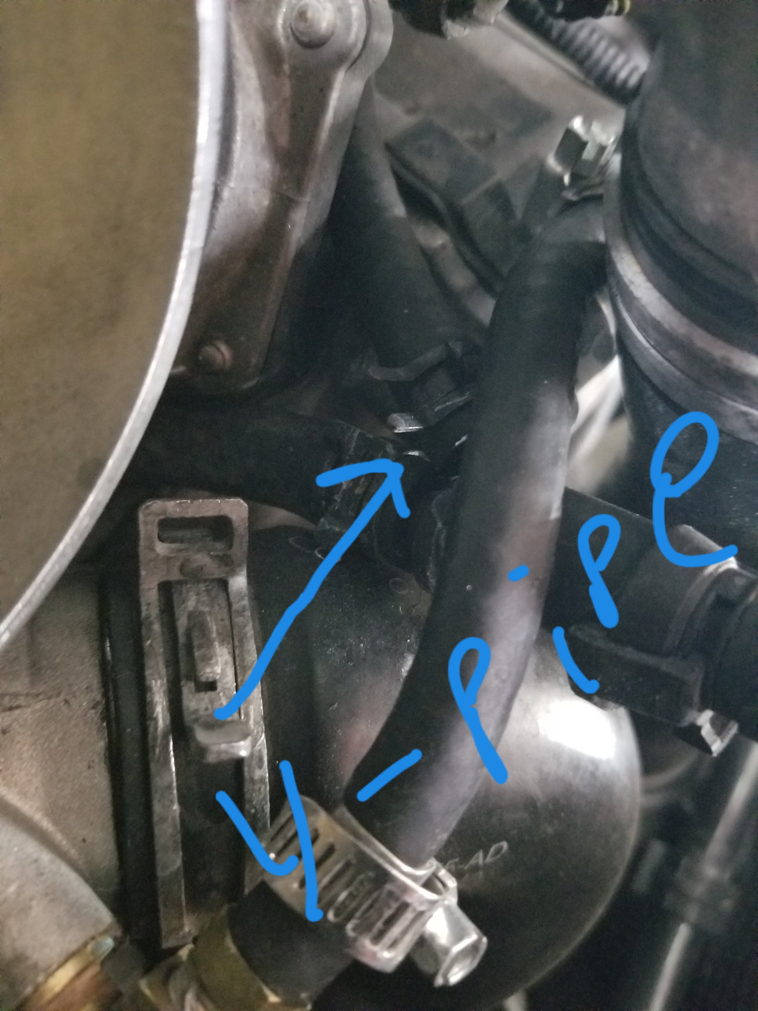 Coolant leak from plug-in connector in front of water pump - Page 2 ...