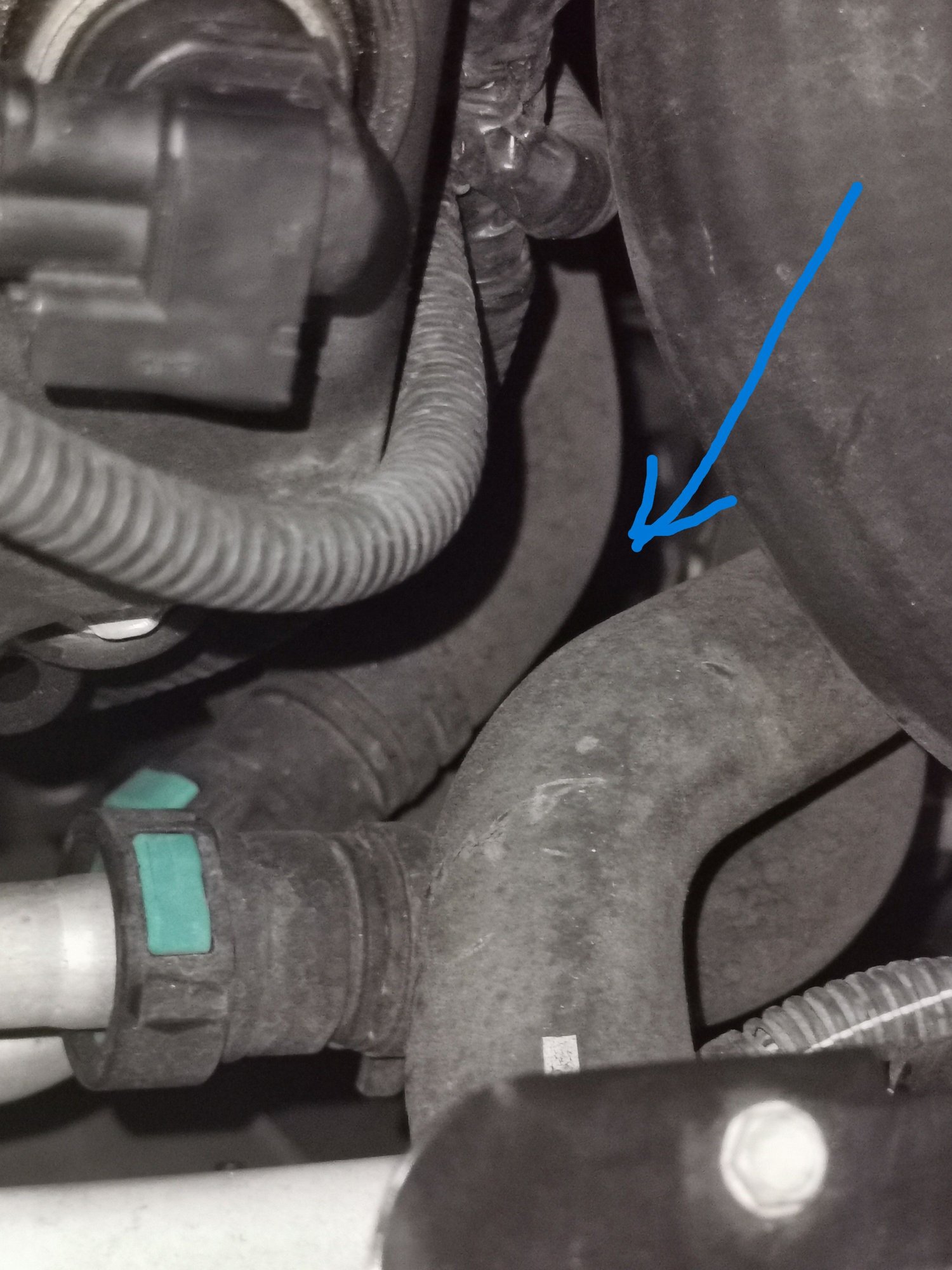 Somewhere down under here.