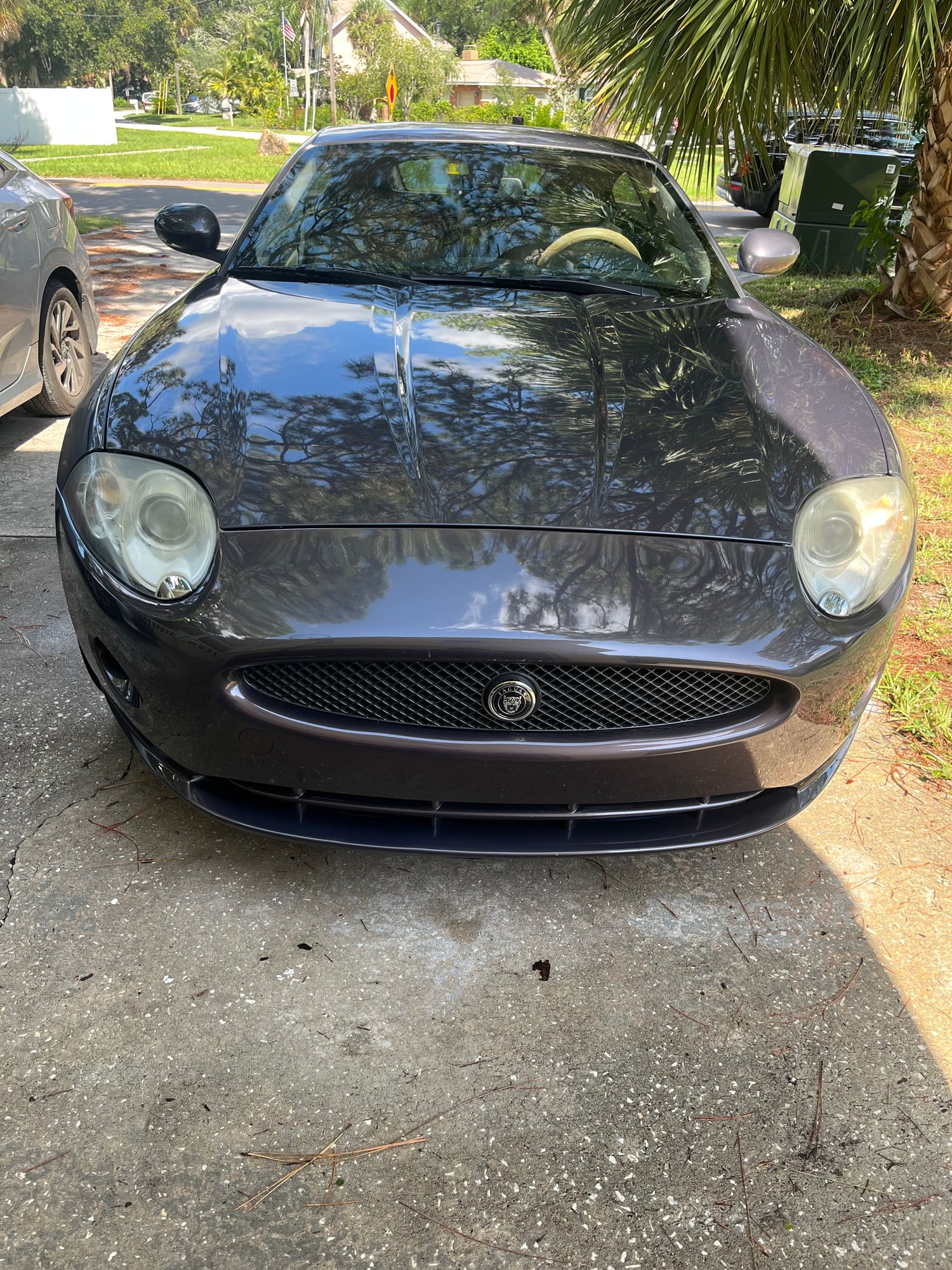 2008 Jaguar XK - 2008 Jaguar XK - Used - VIN SAJWA43B185B23658 - 58,000 Miles - 8 cyl - 2WD - Automatic - Coupe - Gray - Tarpon Springs, FL 34689, United States