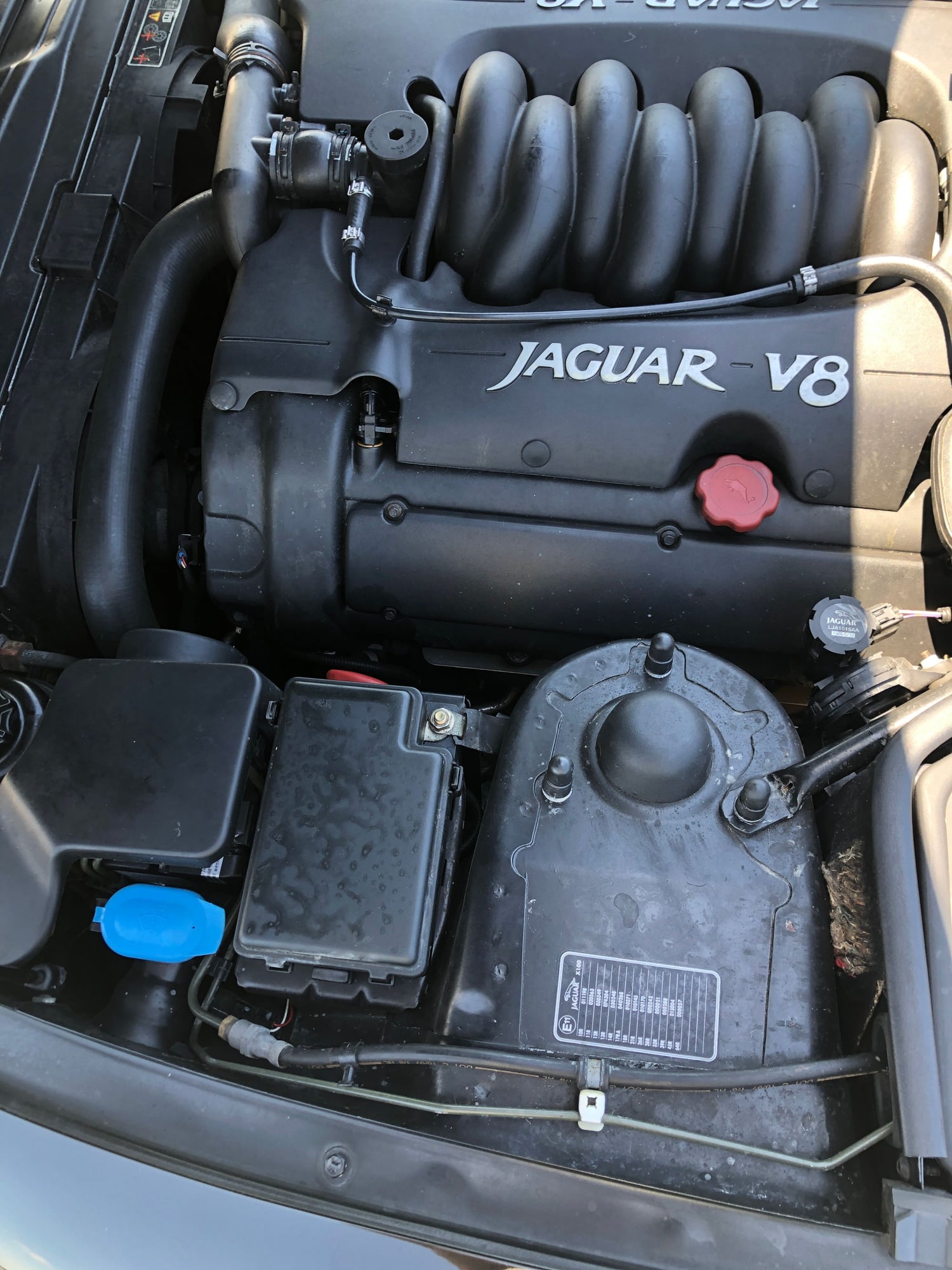 1998 Jaguar XK8 - Jaguar XK8 Convertible 1998 under 100,000kms - Used - VIN SAJJGAFD3AR023980 - 8 cyl - 2WD - Automatic - Convertible - Black - Gold Coast, Australia
