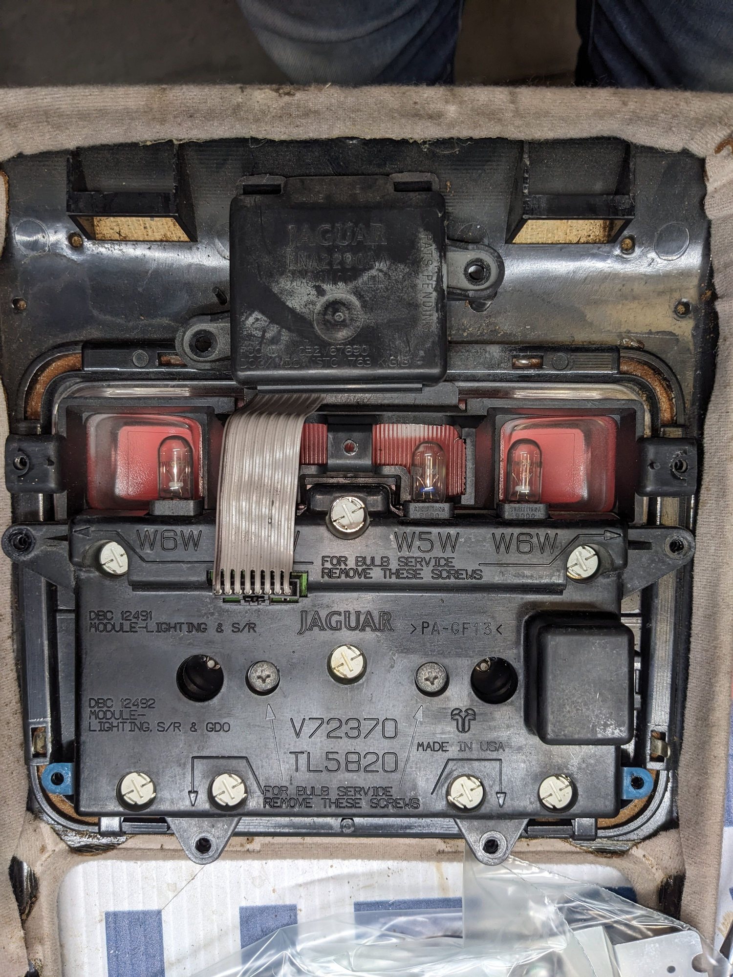 The innards