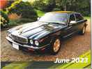 My Cars