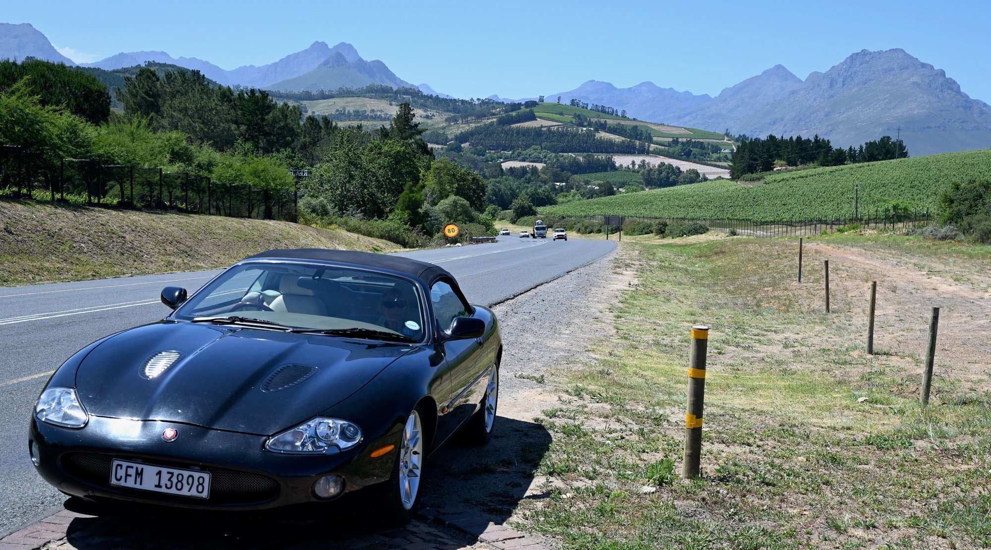 Springtime near Stellenbosch