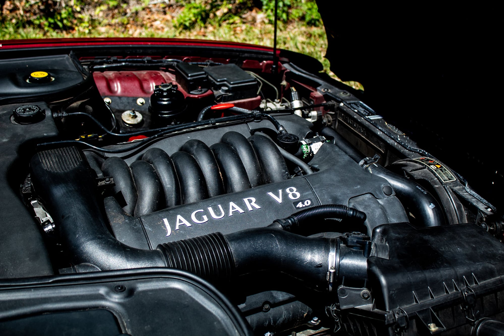 1999 Jaguar XJ8 - 1999 Jaguar XJ8 64K Miles - Used - VIN SAJHD1041XC871564 - 64,007 Miles - 8 cyl - 2WD - Automatic - Sedan - Red - Jacksonville, FL 32225, United States
