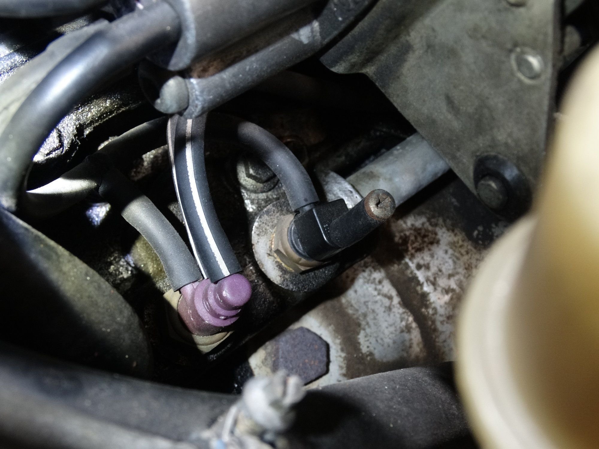 OEM oil pressure sender and switch? Jaguar Forums Jaguar