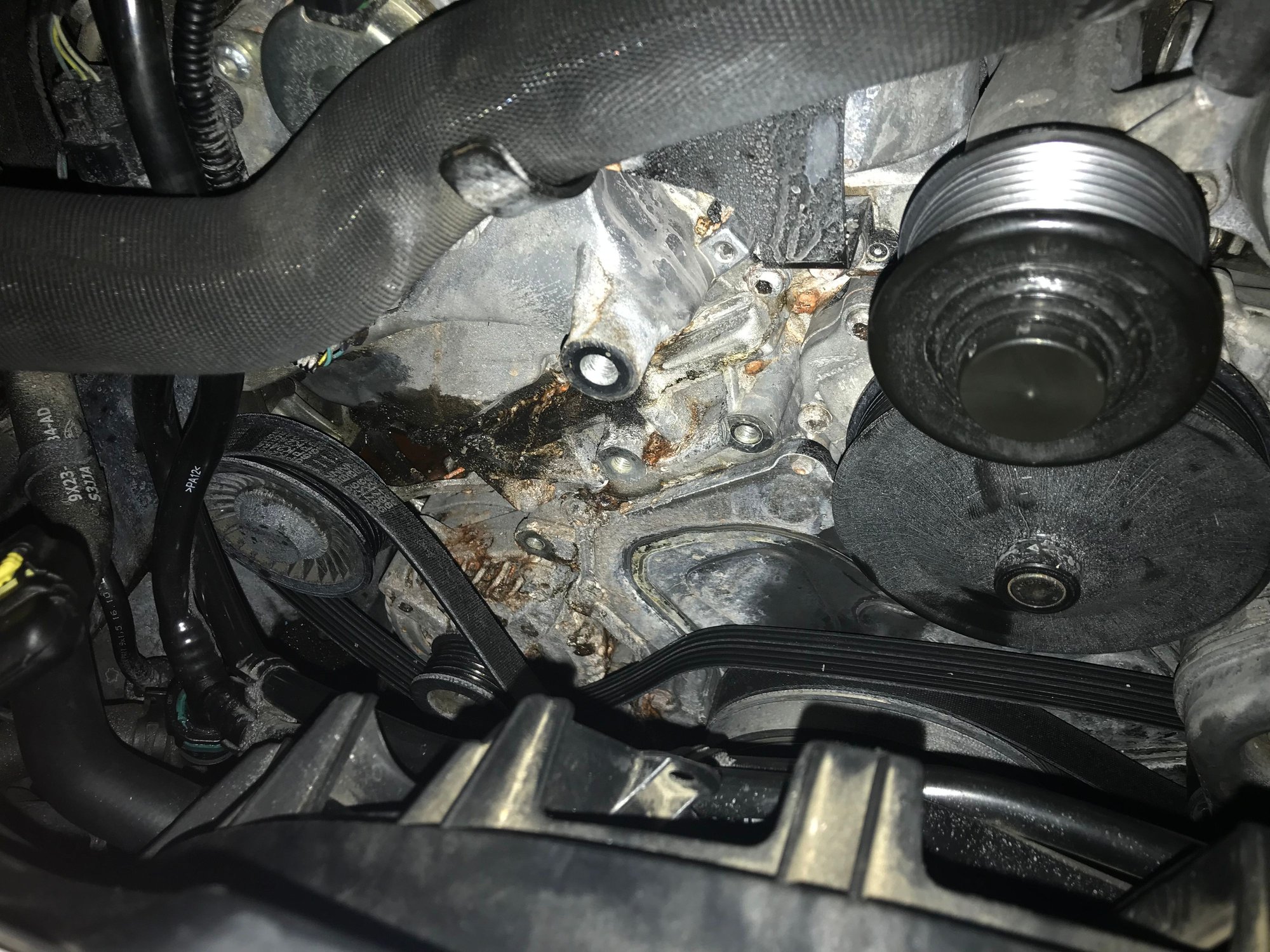 Coolant leak from timing cover?? Jaguar Forums Jaguar Enthusiasts Forum