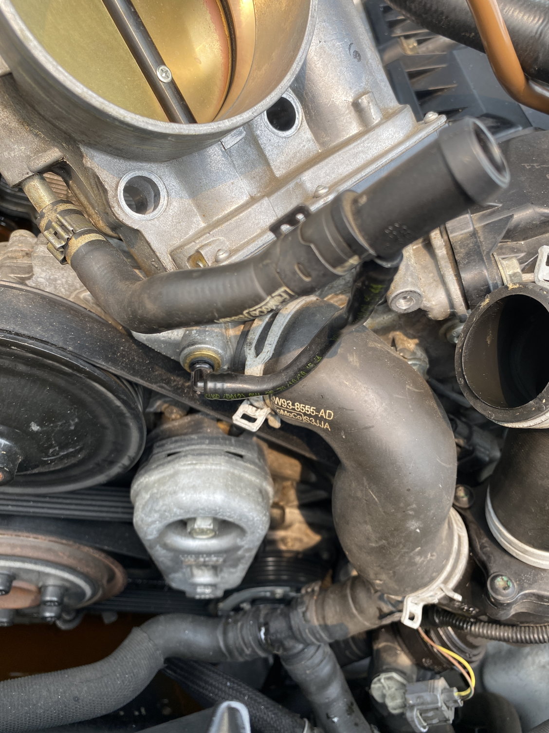 Coolant hoses to throttle body, what's up with this? - Jaguar Forums