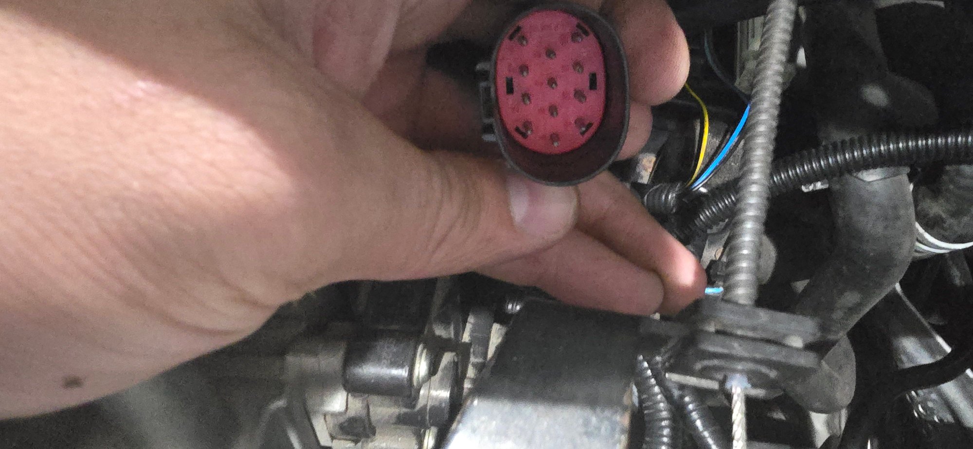 This plug i cant find were it mates to