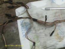old injector harness did not ;look too bad since it rode in "Death Valley" since 1984