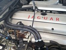 The finished catch can project