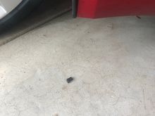 I then trimmed off the excess flare to be even with the bottom of the rocker. 