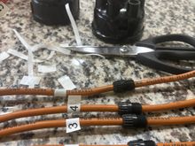 New Cap, labelled the Leads as suggested